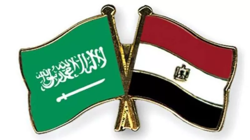 طفرة كبيرة في معدلات التبادل التجاري بين مصر والسعودية رغم تداعيات كورونا