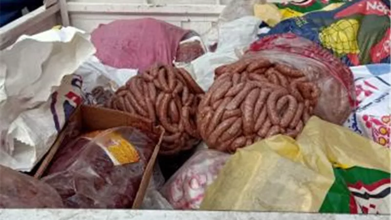 صور صادمة.. ضبط 21 طن لحوم وأسماك ودواجن فاسدة بالجيزة