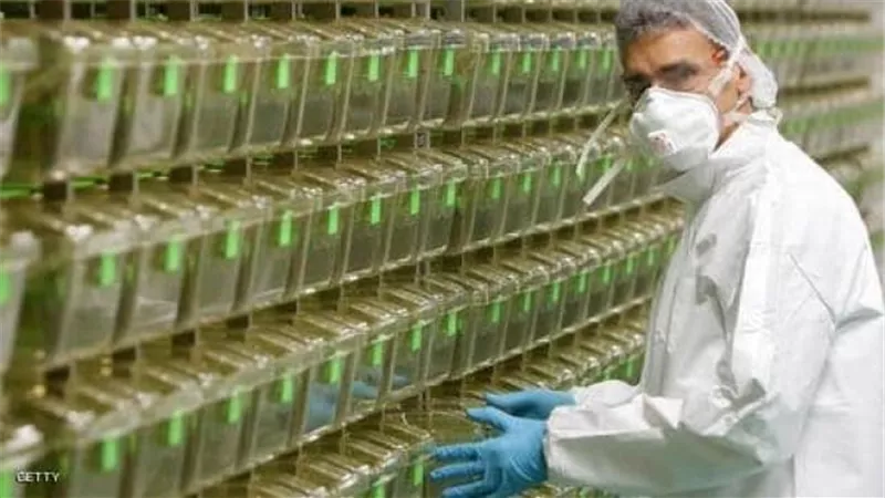 الصحة تؤكد تطعيم 200 ألف مواطن يوميًا بلقاح كورونا