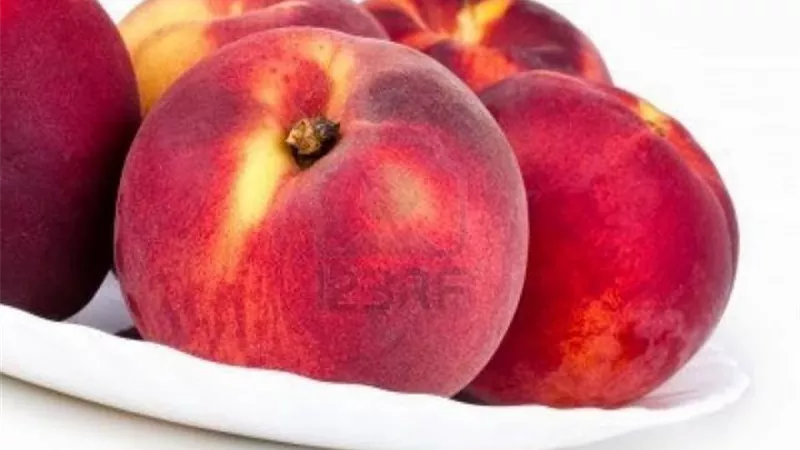 انتبه..نوى هذه الفاكهة تقتل الأطفال