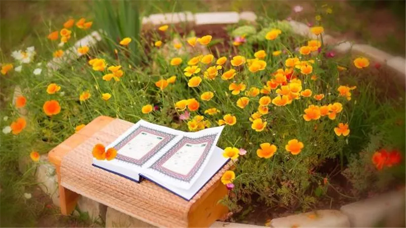 يجمع المحبين.. أسرار لا تعرفها عن قرآن صلاة الفجر