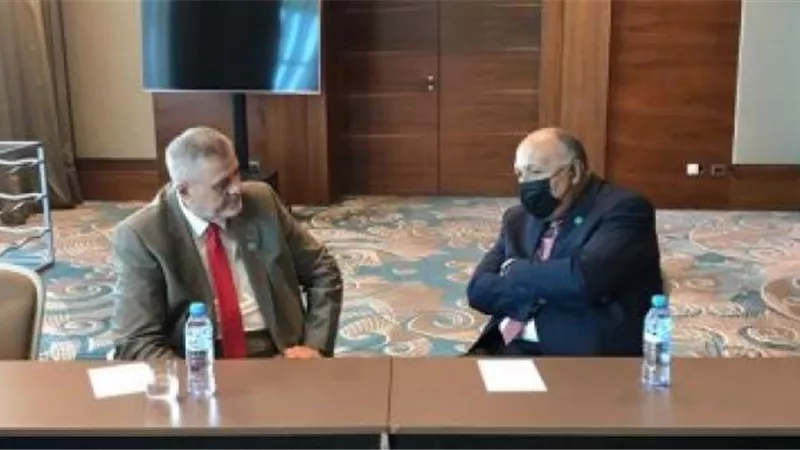 تفاصيل مباحثات شكرى مع المبعوث الأممى لدى ليبيا