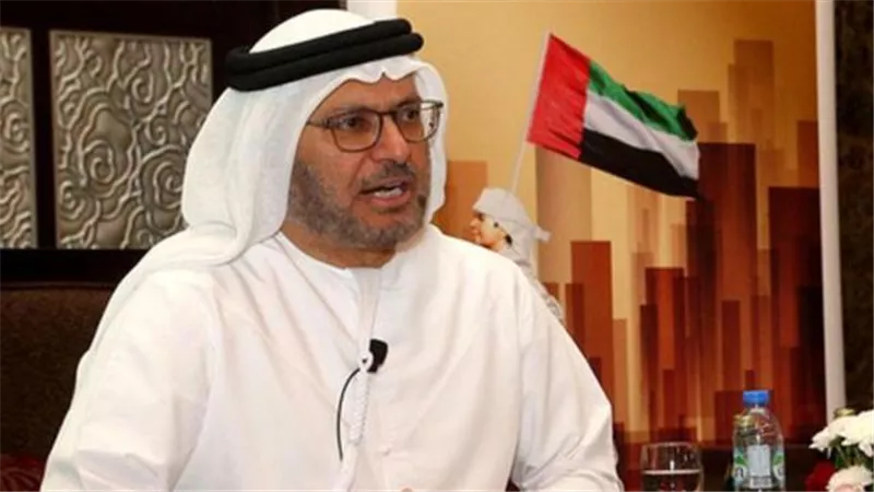 قرقاش يكشف تفاصيل الاتصال التليفوني بين محمد بن زايد وأردوغان