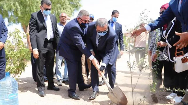 شاهد.. ما هو سر الأشجار التي يزرعها وزير القوى العاملة بالمحافظات؟
