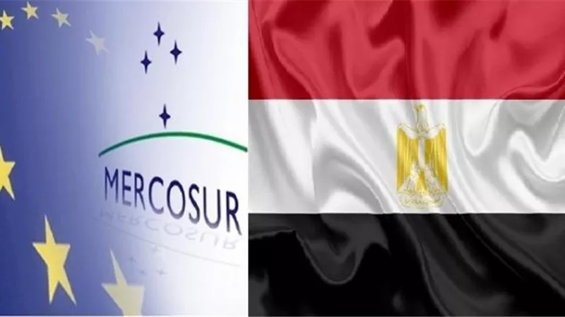 نيفين جامع : فرص كبيرة للصادرات المصرية للنفاذ لاسواق دول التجمع