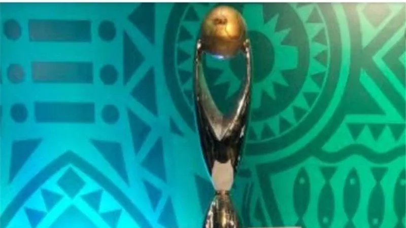 رسمياً.. الكاميرون تعتذر عن استضافة دوري أبطال أفريقيا