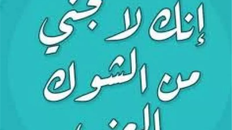 ”إنك لا تجني من الشوك العنب”..اعرف قصة المثل