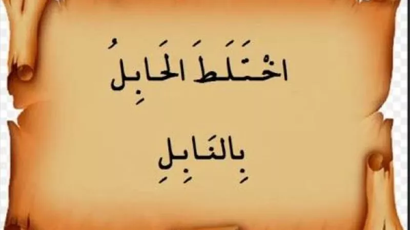 الأغنام وراء مثل ”اختلط الحابل بالنابل”..اعرف القصة