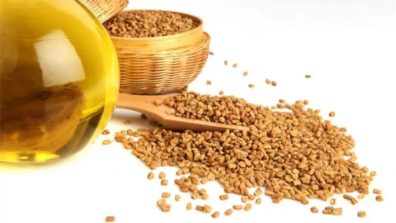 الحلبة.. الحل السحري لعلاج السمنة والصداع