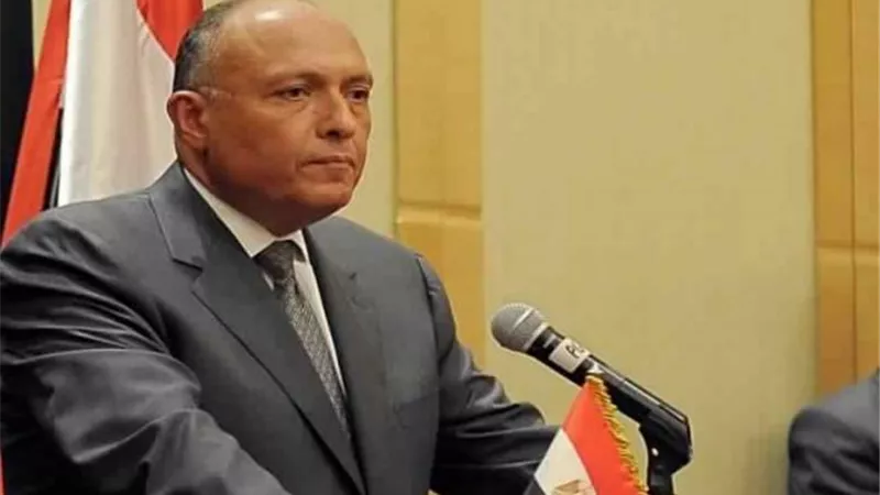 غدا.. شكرى يبحث مع رئيس مؤسسة أنا ليندا تعزيز التعاون المشترك