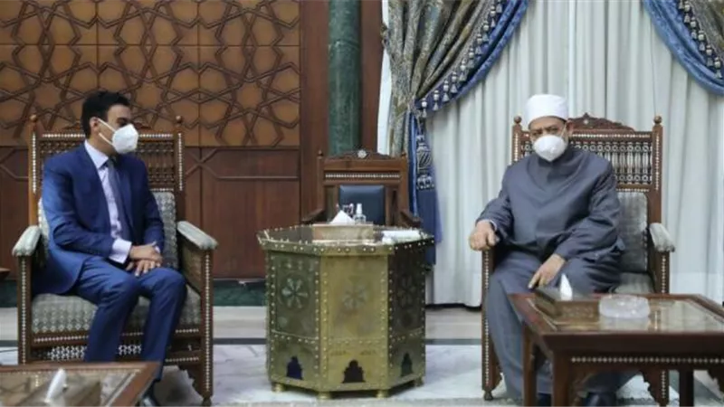 شاهد.. لماذا التقى شيخ الأزهر بسفير مصر بغينيا ؟