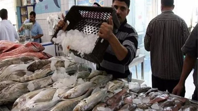 استقرار فى أسعار الأسماك بسوق الجملة