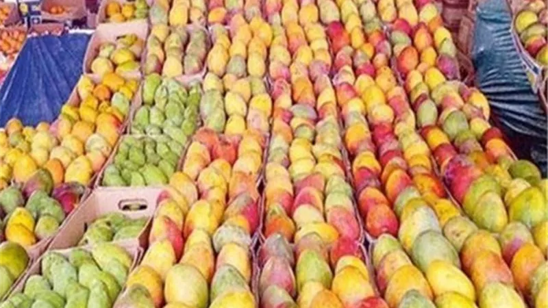 لمحبى المانجو .. تعرف على أسعار الفاكهة اليوم