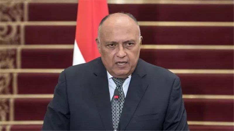 تفاصيل الاتصال الهاتفي بين سامح شكري ووزير الخارجية الإسرائيلي