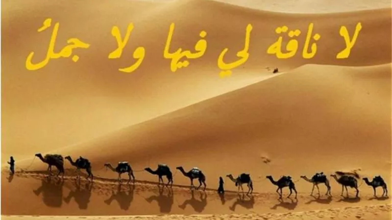 جريمة قتل بالخطأ كانت وراء مثل ”لا ناقة لي فيها ولا جمل”.. أعرف الحكاية