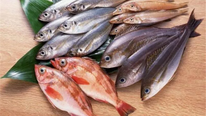 ما هي الأسماك الغنية بـ الأوميجا 3 .. تعرفي عليها