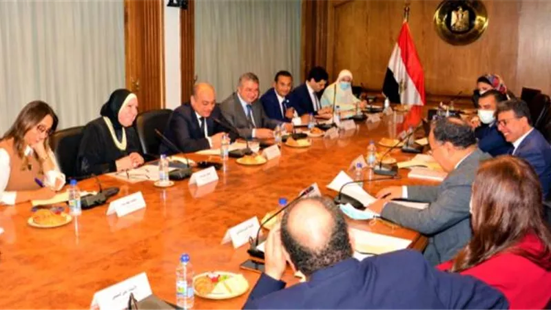 وزيرا المالية والتجارة والصناعة يبحثان تنفيذ مبادرة تحفيز الصناعة المصرية