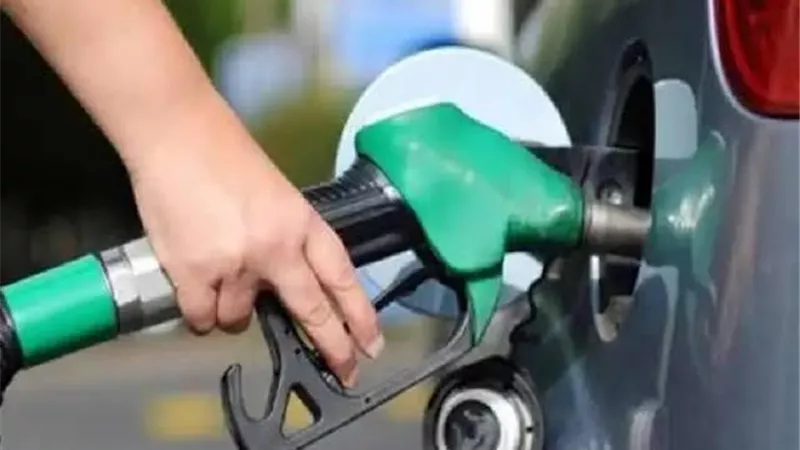 يستهلك 6.7 مليون طن بنزين..الإحصاء يعلن نتائج مسح هام حول النقل البري في 2020