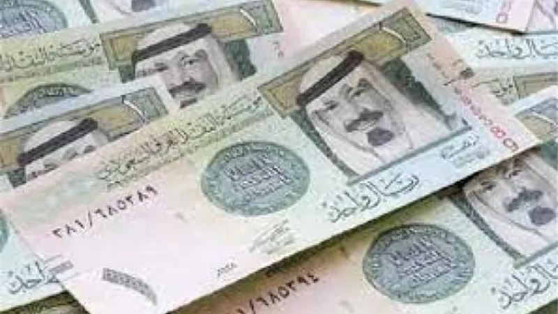أسعار صرف الريال السعودى «مستقرة» مقارنة بالجنيه المصرى