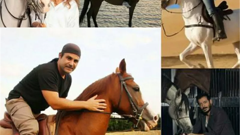 ”النجوم والخيل”.. علاقة من نوع خاص بين الإصابات الخطيرة والإحتراف والهواية