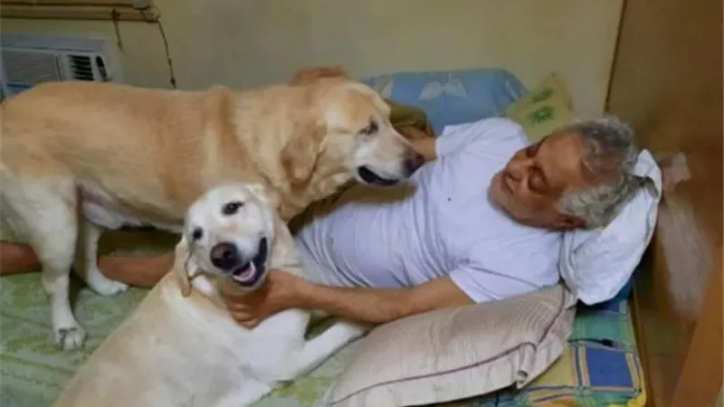 توفيق عبد الحميد بصحبة كلابه عبر ”فيس بوك”