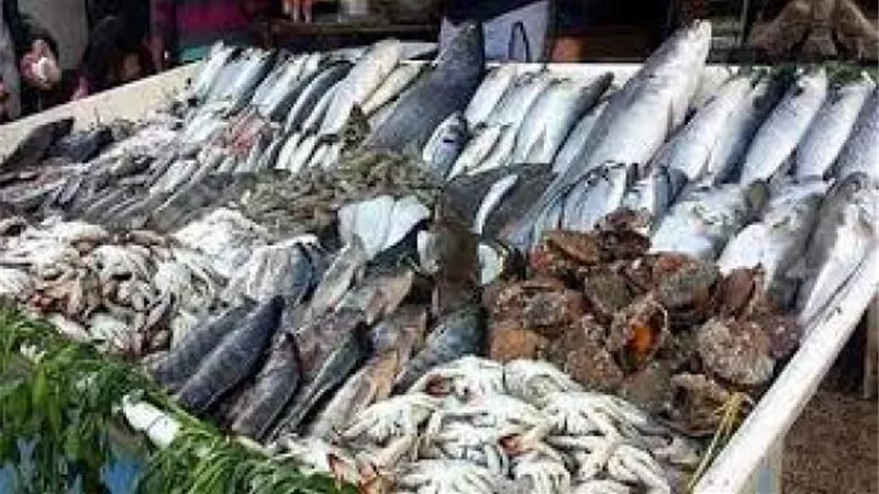 بورصة الأسعار| تعرف على أسعار الأسماك فى سوق الجملة بالعبور  .. البورى يسجل 40 و50 جنيها