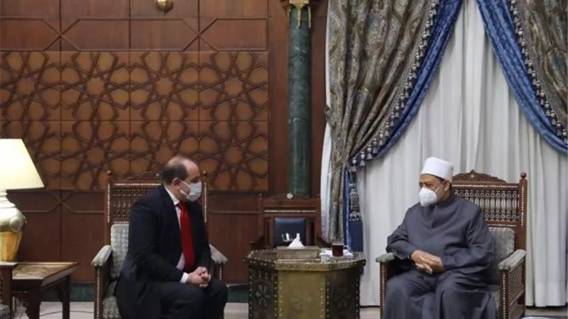الإمام الأكبر يوضح مهمة خطيرة للأزهر في إفريقيا.. تعرف عليها