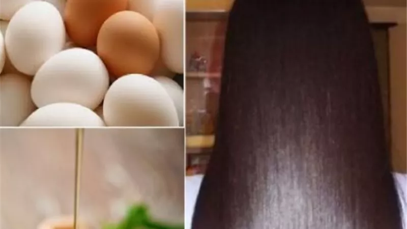 البيض.. الحل السحري لعلاج تساقط الشعر