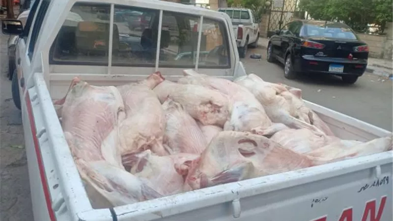 بالصور .. ضبط 650 كجم لحوم فاسدة بهذه المناطق بالجيزة