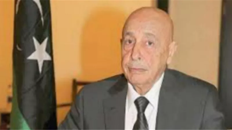 تصريح نارى لرئيس «النواب الليبي» ردًا على تدخل مرتزقة تركيا فى شئون بلاده