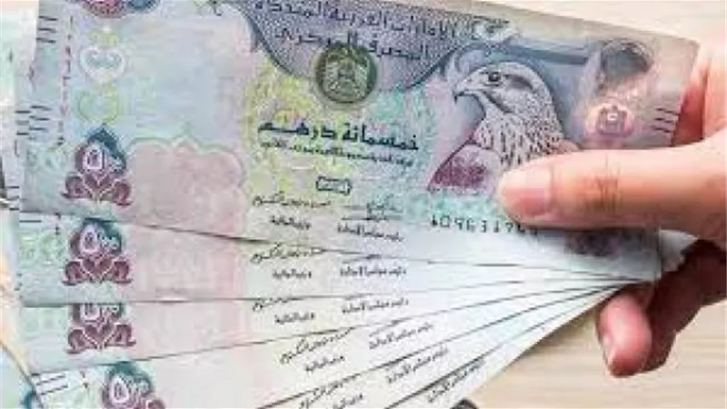 بورصة الأسعار| استقرار سعر الدرهم الإماراتى أمام الجنيه المصرى