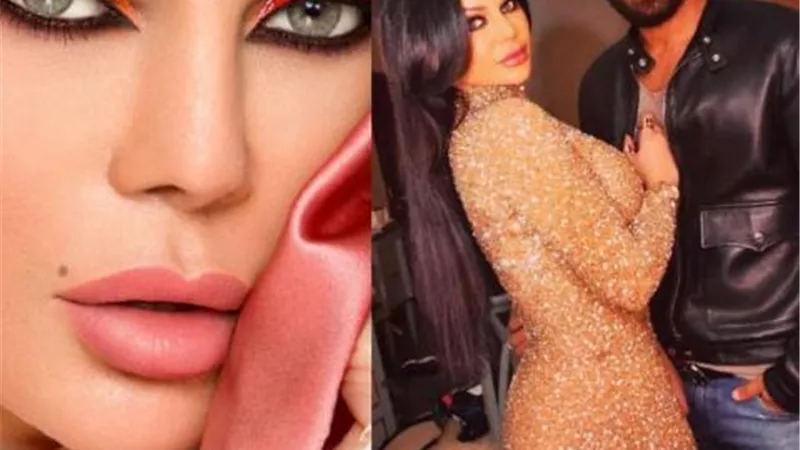 محكمة الأسرة ترفض إثبات زواج محمد وزيري من هيفاء وهبي
