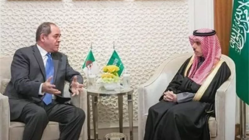تصريحات هامة للسعودية والجزائر بشأن ليبيا