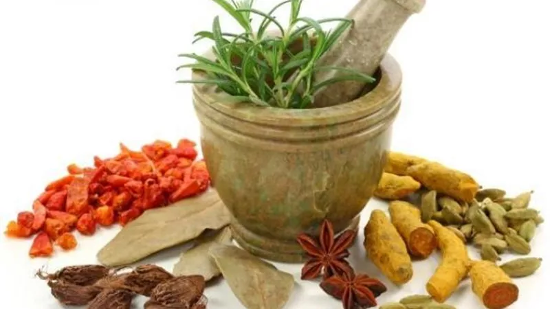 أعشاب مذهلة بديلة عن المضادات الحيوية .. تعرف عليه