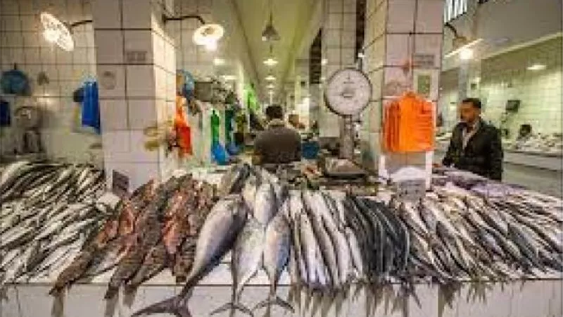 بورصة الأسعار| استقرار أسعار السمك فى سوق الجملة