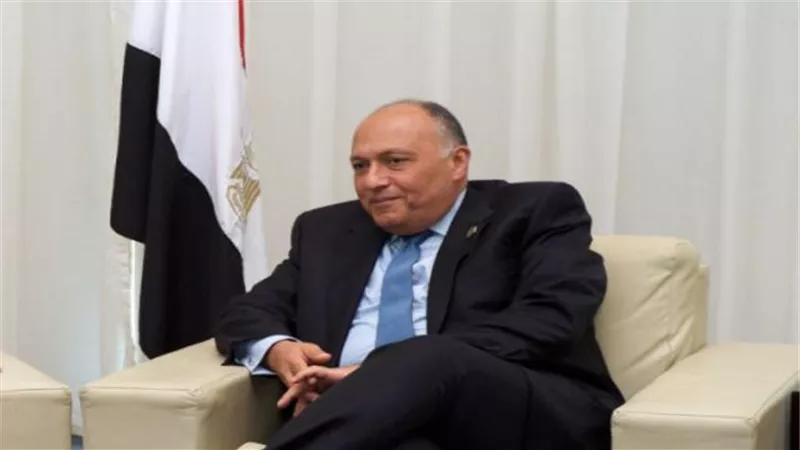 عاجل.. أول تعليق من الخارجية المصرية علي مؤامرة حرق علم الكويت