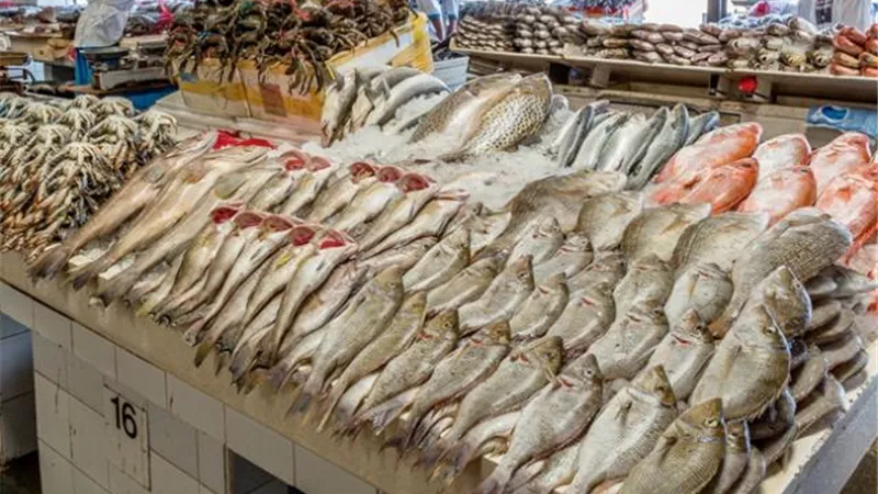 بورصة الأسعار| استقرار فى سعر الأسماك.. كيلو البلطي يتراوح بين 17-37 جنيها