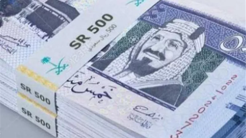 بورصة الأسعار| استقرار فى سعر الريال السعودى أمام الجنيه المصرى
