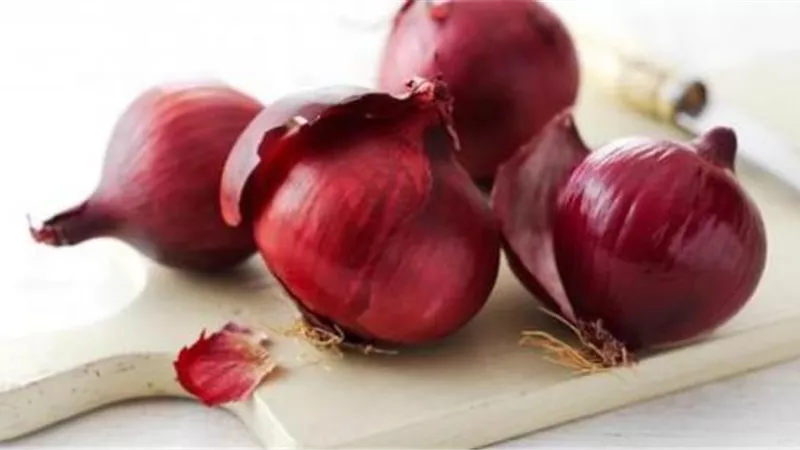يسببه البصل الأحمر.. كل ما تريد معرفته عن «عدوى السالمونيلا»