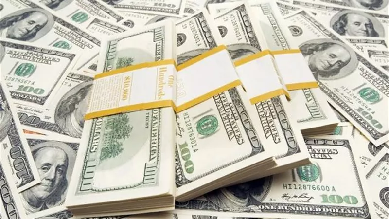 بورصة الأسعار| ثبات فى أسعار الدولار الأمريكى بسوق الصرافة المحلى