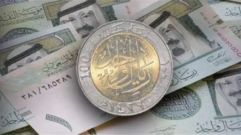 بورصة الأسعار| استقرار أسعار الريال السعودى أمام الجنيه المصرى