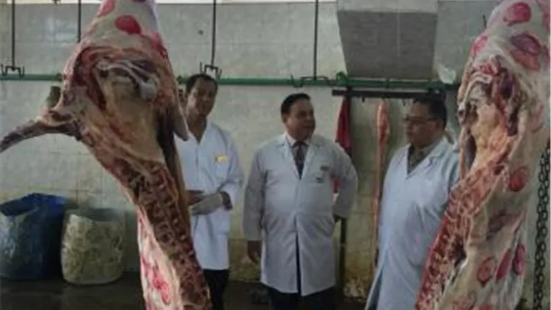 الزراعة: ذبح 3500 أضحية بالمجازر مجانا في ثالث أيام العيد