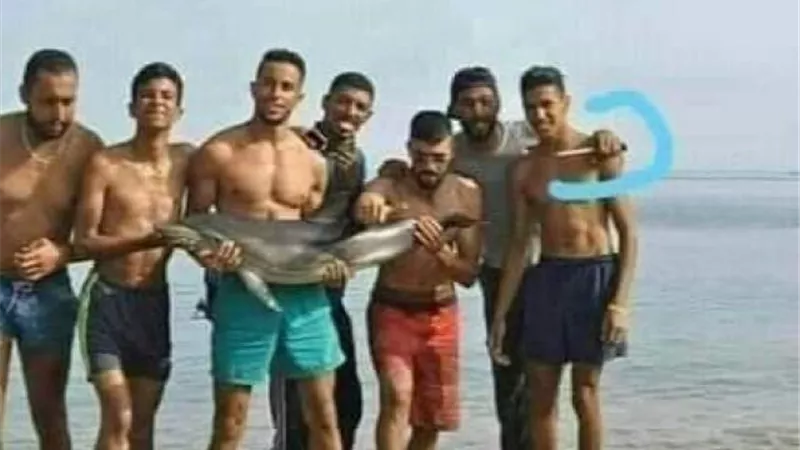 وزيرة البيئة تكشف حكاية الشباب وقتل الدولفين