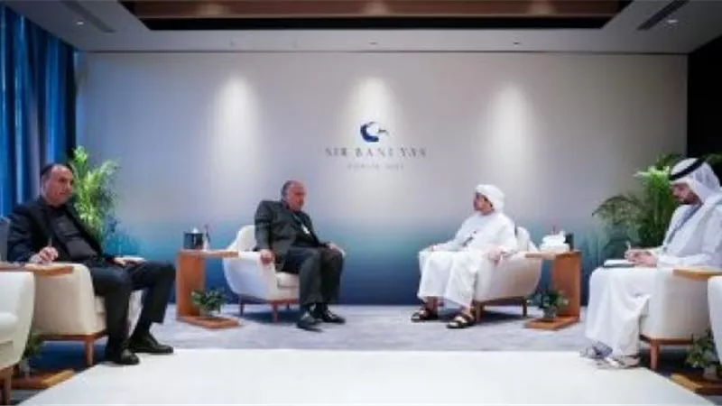 شكرى يبحث مع نظيره الإماراتى تطورات الأوضاع بالمنطقة
