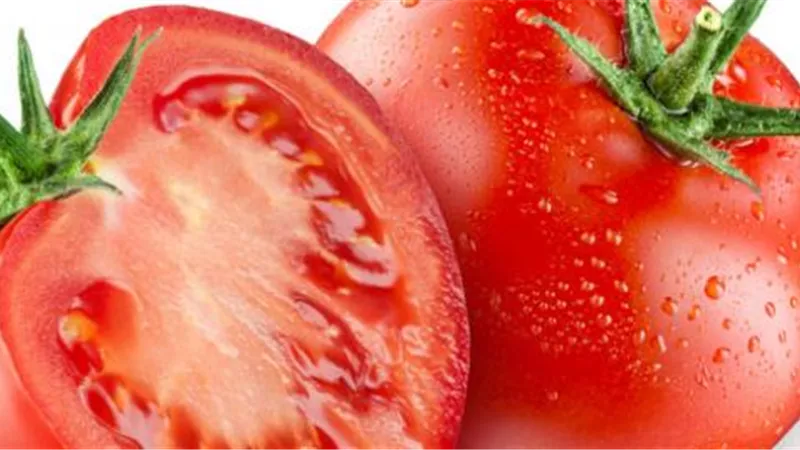 ماذا تعرف عن زكاة الطماطم؟