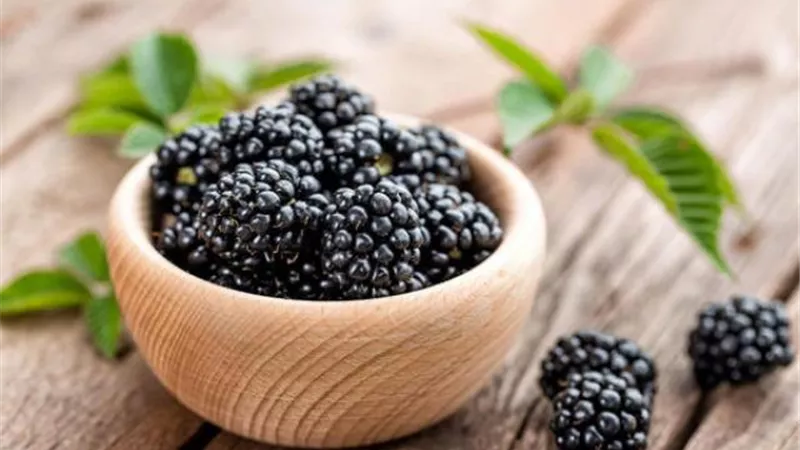 كل ما تريدين معرفته عن فوائد التوت الصحية
