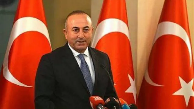 لهذا السبب.. وزير الخارجية التركي يزور «بيروت» برفقة نائب أردوغان