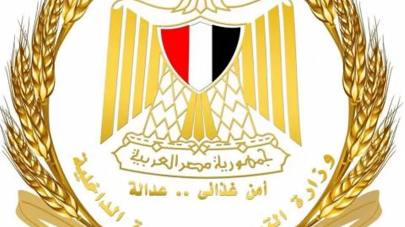 وزارة التموين : التعاقد على 138 طن زيوت متنوعة