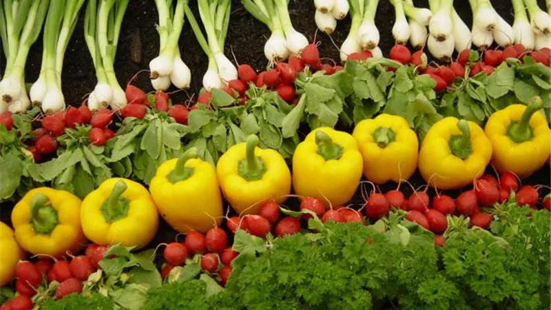 استقرار أسعار الخضراوات داخل أسواق الجملة