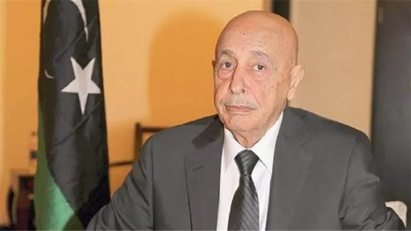 القوي السياسية في ليبيا ترفض تأجيل الانتخابات الرئاسية والبرلمانية
